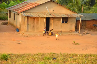 DSC_4316 (Large).JPG